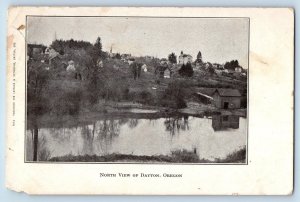 Dayton Oregon OR Postcard North View Houses River c1905 Unposted Antique
