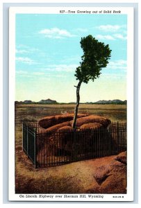 1915-20s Tree Growing Out Of Solid Rock, Wyoming Postcard F125E
