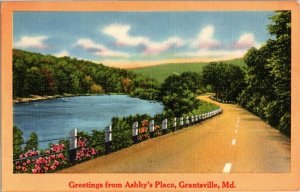 Scenic View, Greetings from Ashby's Place, Grantsville MD Vintage Postcard E43