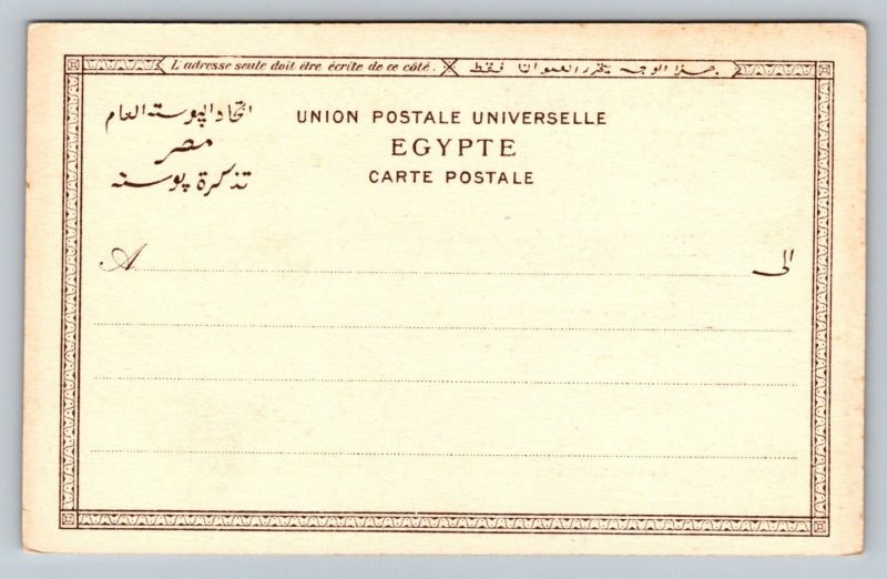 Saquieh  Water Wheel  Buffalo  Egypt   Postcard