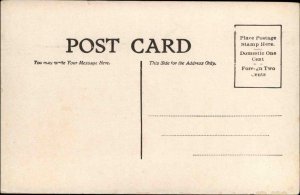 A/S MARY L RUSSELL Pretty Woman My Southern Rose c1910 Postcard