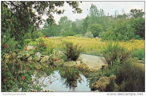 California Santa Barbara Botanic Garden