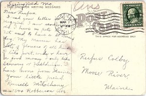 Postcard PARK SCENE Springfield Missouri MO AI4871