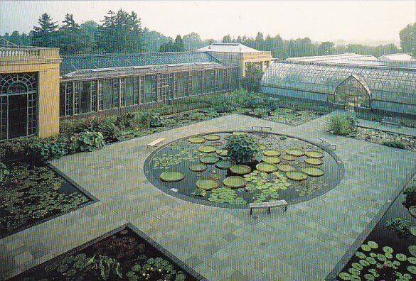 Longwood Gardens Waterlily Display Kennett Square Pennsylvania