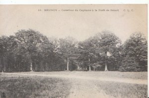 France Postcard - Brunoy - Carrefour Du Capitaine a La Forest De Senart - 5354A