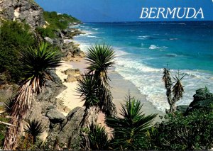 Bermuda Scene Alont The South Shore 1992