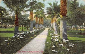 Long Beach California 1912 Postcard The Park At Long Beach