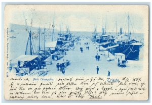 1899 Molo Giuseppina Trieste Friuli Venezia Giulia Italy Posted Postcard