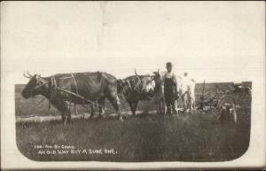 Farmer Oxen Dog - North Portlal Saskatchewan Cancel Real Photo Postcard