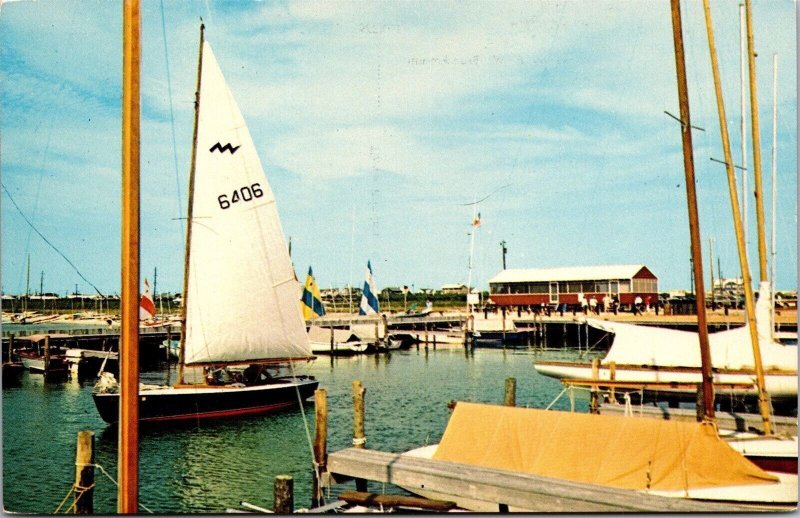 Vtg Dewey Beach Delaware DE Sailboats Setting Out Under Full Sail Postcard