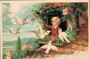 Birthday Greetings Boy And Pigeons 06.60