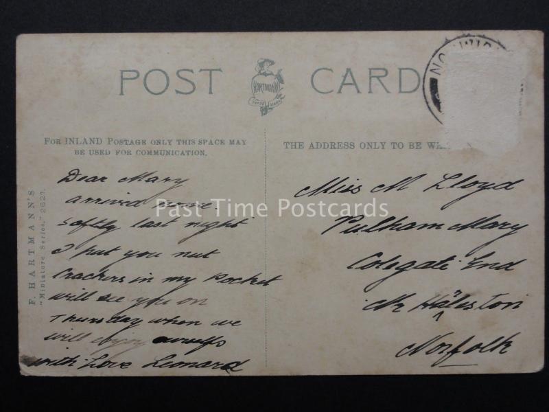 Norfolk NORWICH 13 Image Multiview c1904 Old Postcard by F. Hartmann 2621