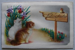 Kittens & Flowers Felicidades  Embroidered & Embossed Postcard  Made in Spain