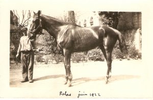 Nab with his horse Old viintage antique French Postcard