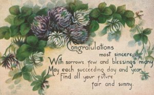 Vintage Postcard 1910's Congratulations Chrysanthemums Greetings Wishes Card