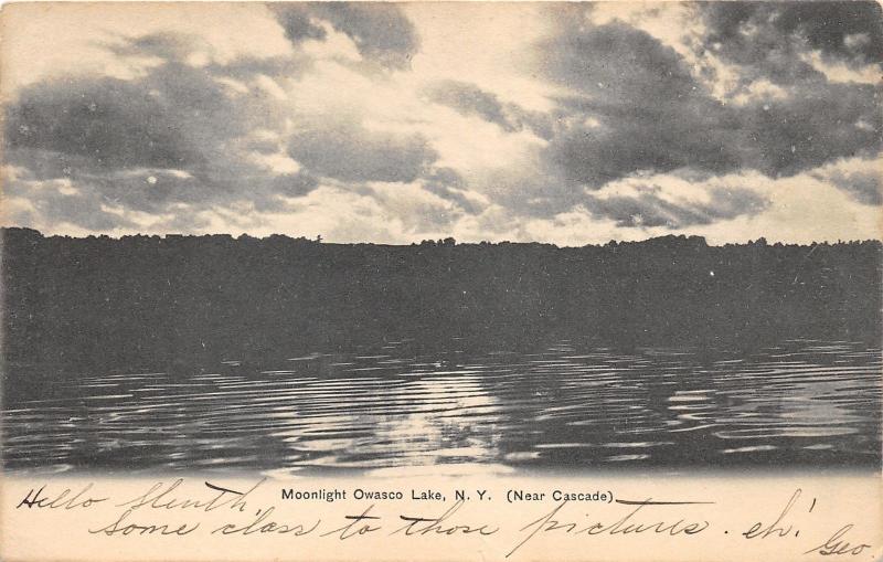 Owsco Lake New York @ Night~Moonlight thru Clouds~near Melrose Park~'09 Postcard