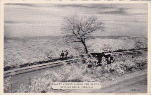 Beauty Viewed Along The Skyway Skyline Drive Virginia Dexter Press