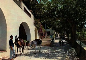 Croce Street,Capri,Italy