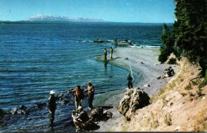 Fishing Along The Shores Of Yellowstone Lake