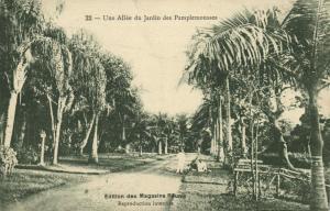 mauritius maurice, PAMPLEMOUSSES, Une Allée du Jardin (1910s)