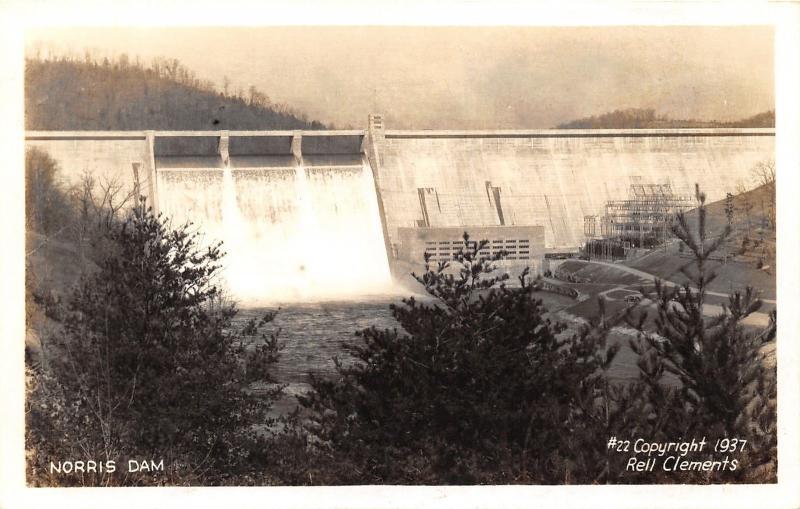 Tennessee~Norris Dam~Pines in Foreground~1937 Rell Clements RPPC Postcard