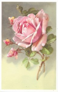 Alfred Mainzer Giant Pink Rose 3 Rose Buds Printed in Belgium