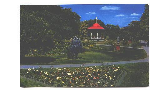 Flowers, Public Gardens, Halifax, Nova Scotia,