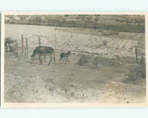 old rppc NICE VIEW San Miguel De Allende - Guanajuato Mexico i2557