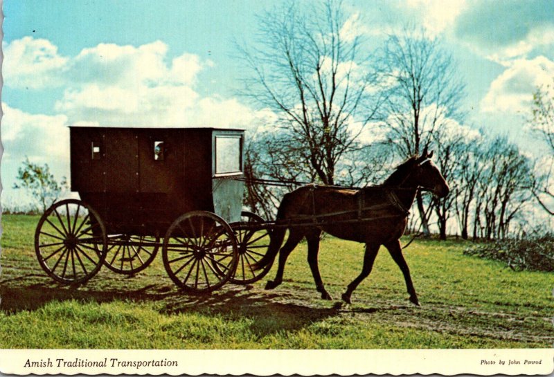 Indiana Nappanee Amish Traditional Transportation Horse and Buggy