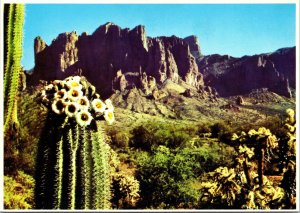 CONTINENTAL SIZE POSTCARD SUPERSTITION MOUNTAIN LOCATED EAST OF MESA VALLEY AZ