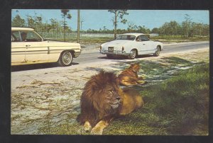 WEST PALM BEACH FLORIDA LION COUNTRY SAFARI KHARMIN GHIA VINTAGE POSTCARD