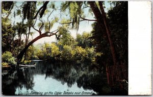 Ormond Beach Florida FL Canoeing On The Upper Tomoka Forest Trees Postcard