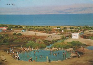 Israel Postcard - Ein Fachkha, Spring By The Dead Sea Shore, Nr Qumaran   RRR259