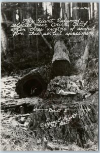 c1940s Orick, Cali Giant Redwood RPPC Lumber Log Art Ray 1876 Real Photo CA A200