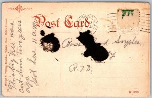 Big Sycamore Tree, Upper Sandusky, Ohio - Cut Down in 1911 - Postcard 