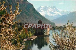 Modern Postcard Lac Leman Chateau de Chillon and the Dents du Midi Spring
