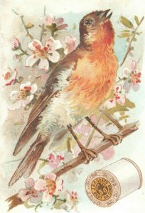 1880's Lovely Bird J&P Coats Thread Victorian Trade Card #2 P30