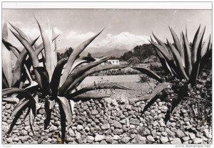 RP: El Ixtac , Mexico , 30-40s