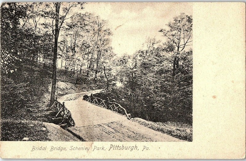 C.1900 Bridal Bridge, Schenley Park, Pittsburgh, PA. Postcard P123 