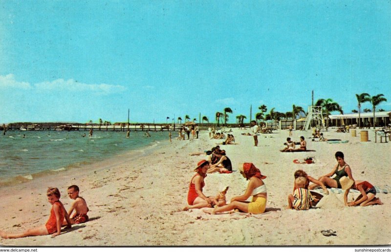 Florida Ruskin Scene Along Bahia Beach