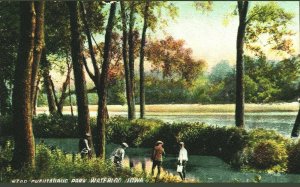 Postcard Waterloo Iowa Scenic Chautauqua Park Divided Back Posted 1908 