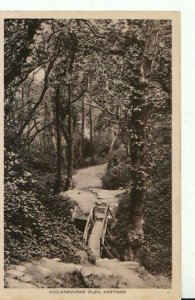 Sussex Postcard - Ecclesbourne Glen - Hastings - Ref TZ788