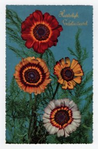 Heartfelt Congratulations - Hartelijk Gefeliciteerd