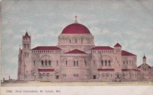 New Cathedral Saint Louis Missouri