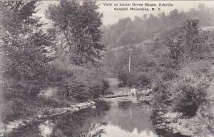 New York Catskill Mountains Arkville View At Locust Grove 