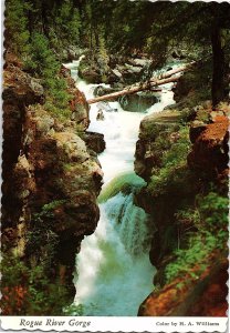 Scenic View Rogue River Gorge Oregon Rusing River Trees Continental Postcard
