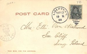 ny-liberty Walnut & Baldhead Mountains 1904