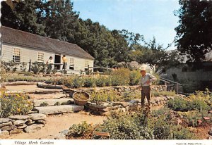 Village Herb Garden 