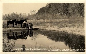 Northe Platte NE Buffalo Bill Ranch Horses Real Photo Vintage Postcard