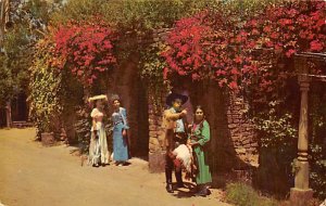 The Adobe Ruins Knott's Berry Farm Ghost Town California Postcard
